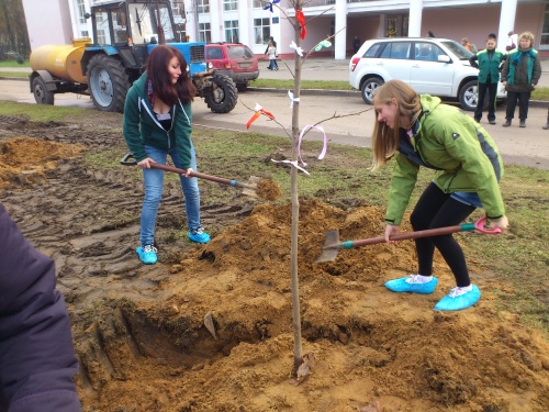 Wir pflanzen einen Baum in Korolev - auch die Damen arbeiten mit.